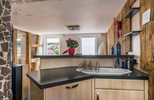 Schonach im Schwarzwald Apartment | Large historic apartment with sauna, fitness room, fireplace, fire pit and garden