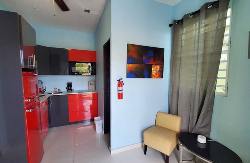 San Juan House | Large Luxurious 1BR close to Ferry and Ocean views
