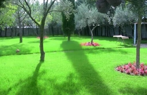 Saint-Jean-de-Vedas Villa | Large residence with private swimming pool 10X5, with wooded grounds