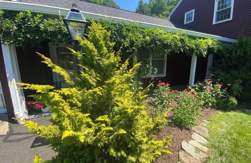 Woodbury House | Large, Sunny 4 Bedroom Home Sleeps 8 and 1 minute to Five Fabulous Restaurants