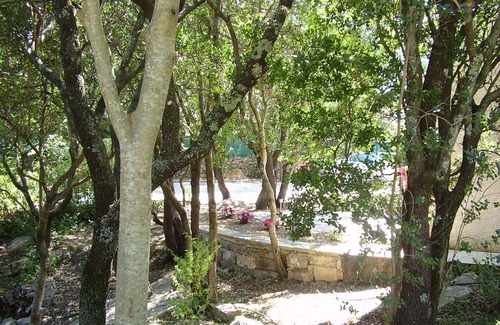 Viols-le-Fort House | Large villa in a haven of peace