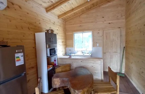 Linares House | Las araucarias
