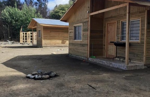 Linares House | Las araucarias
