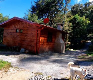 San Isidro House | Las Bromelias Lodge