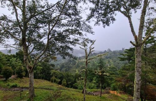 San Isidro House | Las Bromelias Lodge