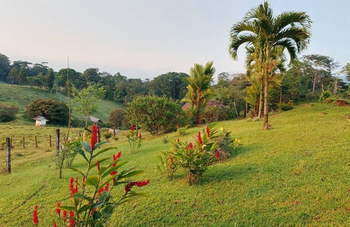 Guacimo Cabin | Las Cañas Paradise