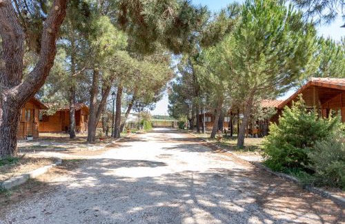 Bayubas de Abajo House | Las Casitas del Pinar