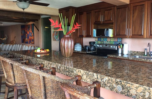 Ixtapa - Zihuatanejo Condo | Last minute cancellation Jan 24-Feb 7, 2026 at La Casa Que Ve al Mar.