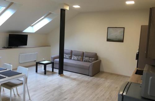 Vilnius city municipality Apartment | Laura
