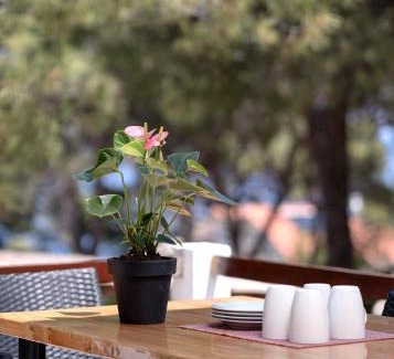 Island Hvar Apartment | Lavanda Apartments