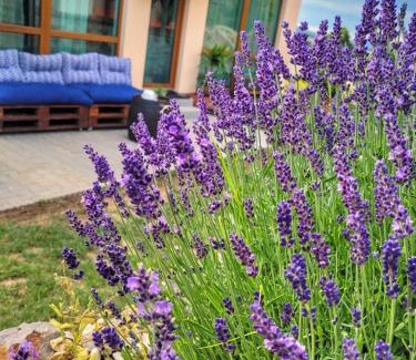 Bzenica Apartment | Lavanda Garden Apartment