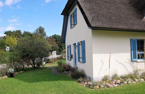 Insel Poel House | Lavendel