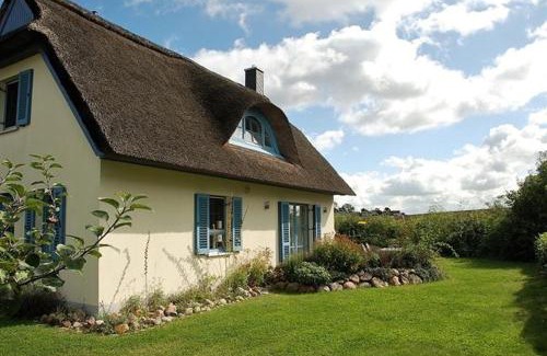 Insel Poel House | Lavendel