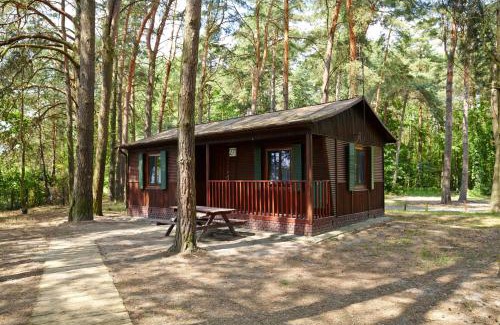 Uscimow Resort | Leśna Ryba I Domki i Park Linowy