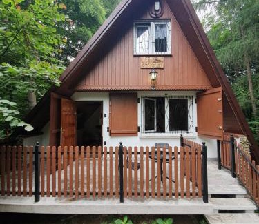 Debica Ski Chalet | Leśny Zakątek