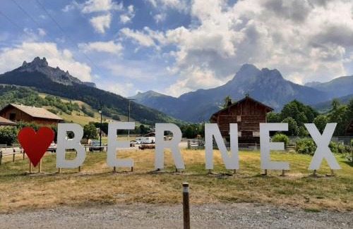 Bernex Apartment | Le 211,ski et randonnée, lave linge , parking gratuit