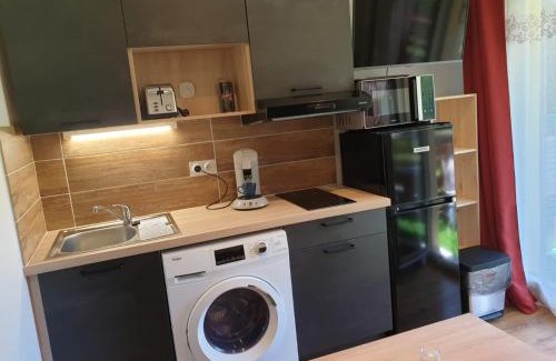 Bernex Apartment | Le 211,ski et randonnée, lave linge , parking gratuit