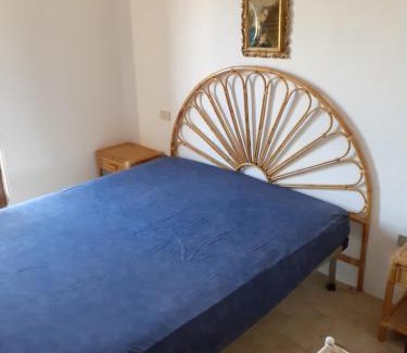 Terravecchia-Portoquadro House | Le agavi
