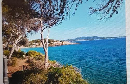Sanary-sur-Mer Apartment | Le Baou fully renovated 2025