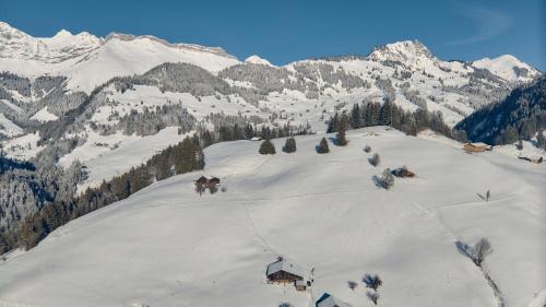 Rougemont Ski Chalet | Le Chalet Lion Rouge