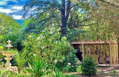 Saint-Andre Apartment | Le Chat Vert - Appartements Adults Only