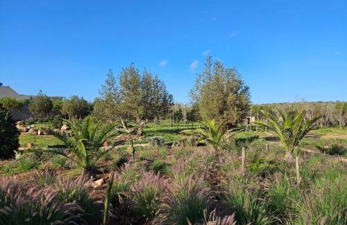 Ounagha Bed & Breakfast | Le Clos de la Roussière
