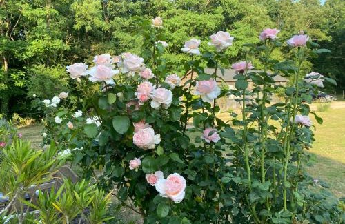 Val d'Amboise Bed & Breakfast | LE CLOS DU GOLF