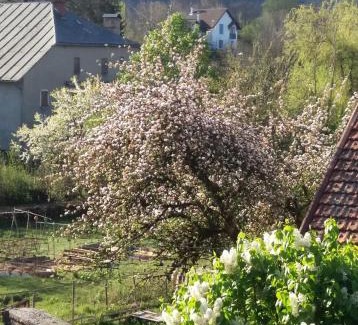 Brenod Bed & Breakfast | Le Clos Marie