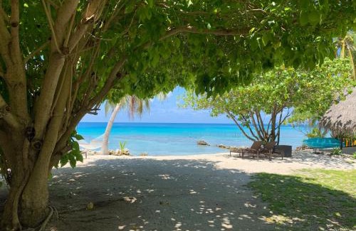 Rangiroa Bed & Breakfast | Le Coconut Lodge