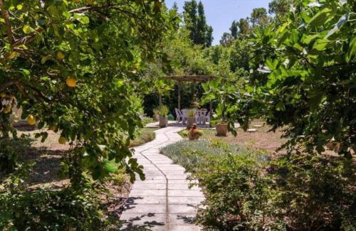 Muro Leccese Bed & Breakfast | Le Dimore di Hanqorias