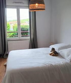 Pont-a-Mousson Apartment | Le gîte des Prémontrés