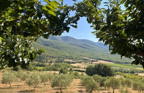 Saint-Martin-de-Castillon House | Le Grand Hermas