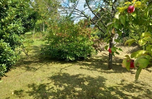 Saint-Omer House | Le Jardin Secret