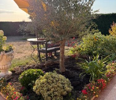 Soussans Bed & Breakfast | Le mas des anges