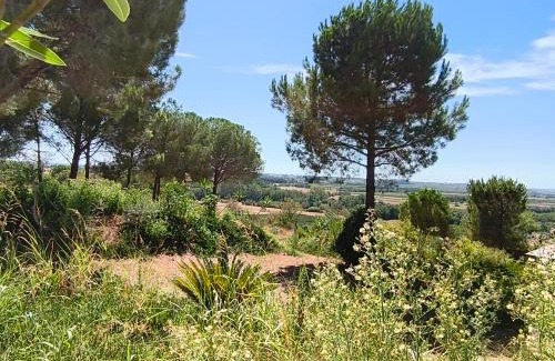Maraussan Villa | "Le Mas" Les jardins de Tourneige