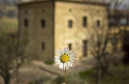 Orsogna House | Le Mignole