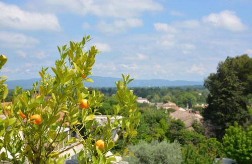 Chateauneuf-de-Gadagne Bed & Breakfast | Le Petit Chateau