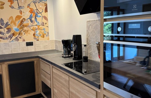La Tour-Sur-Orb House | Le Presbyteredeclairac: Grande Maison à la Campagne, Idéale Famille et Amis