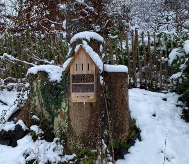 Chaudfontaine House | Le Retour aux Sources - Chambre d'Hôte chaleureuse et conviviale