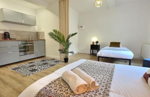 Tournon-sur-Rhone Apartment | Le saint Joseph - Hypercentre
