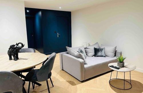 Pont-de-Veyle Apartment | Le Scandinave - PROCHE MACON - PARKING GRATUIT - NETFLIX - FIBRE