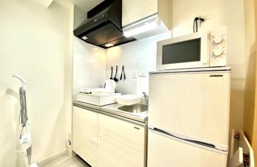 Naha City Centre Apartment | Le Soleil Asato - Vacation STAY 48667v