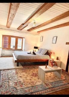 Delemont Apartment | Le Spacieux en vieille ville