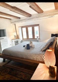 Delemont Apartment | Le Spacieux en vieille ville