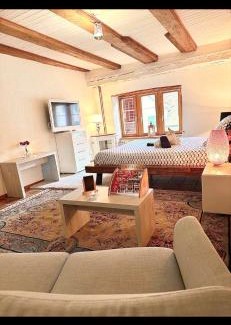 Delemont Apartment | Le Spacieux en vieille ville