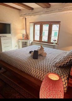 Delemont Apartment | Le Spacieux en vieille ville