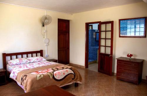Coromandel Bed & Breakfast | Le Tropical Chez Jeannette