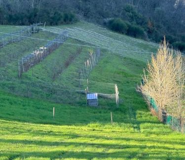 Fossombrone House | LeCannelleAgriBenessere