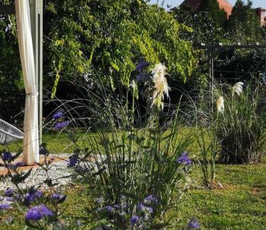 Balatonlelle House | Lelle Cottage