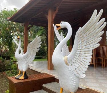 Baturiti Other | Lembah Cinta Mayungan